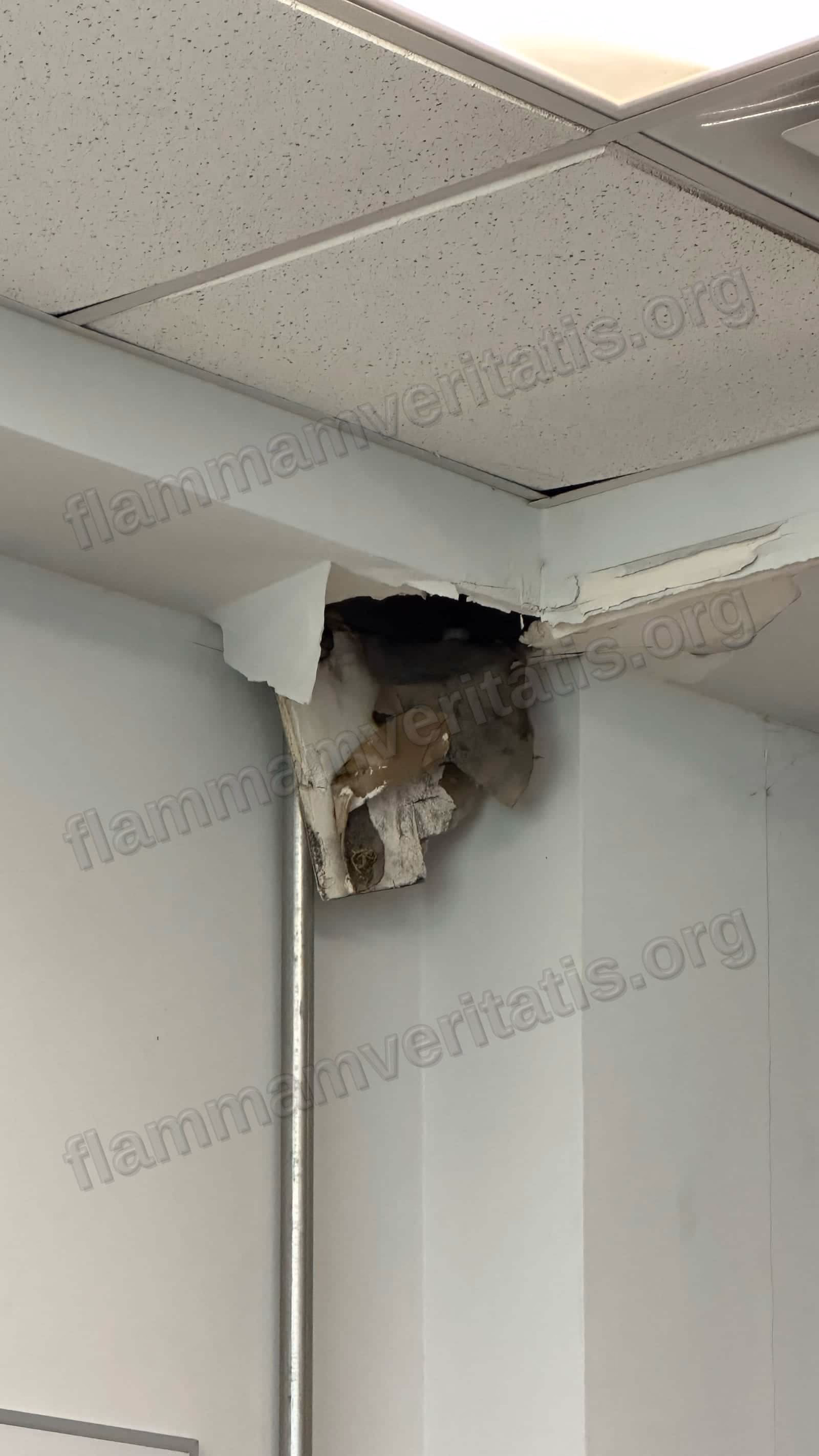 Esquina donde se unen el techo y el muro del aula 12202, Edificio 12, con un boquete donde el aplanado se desprendió y quedó expuesto el material aislante y una capa de papel o cartón, junto al plafón acústico y al riel metálico de la pared.