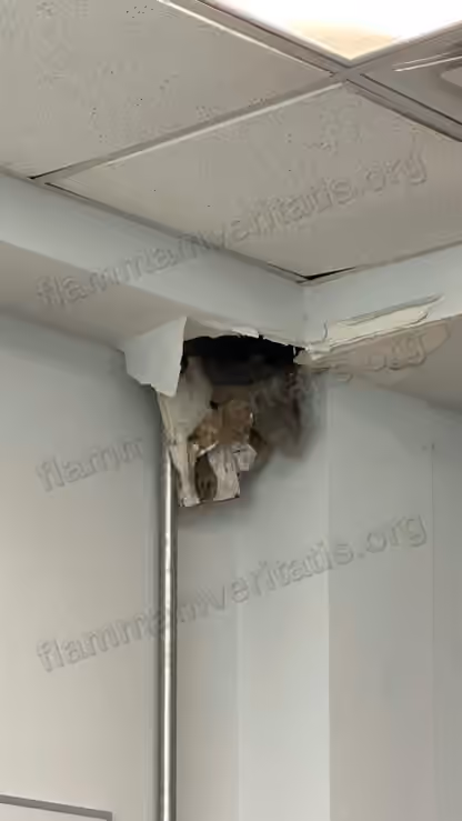 Esquina donde se unen el techo y el muro del aula 12202, Edificio 12, con un boquete donde el aplanado se desprendió y quedó expuesto el material aislante y una capa de papel o cartón, junto al plafón acústico y al riel metálico de la pared.