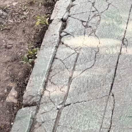 Primer plano de una guarnición de concreto pintada de verde con una red densa de grietas, junto a tierra suelta con vegetación silvestre, en el pasillo frente al Edificio 6.